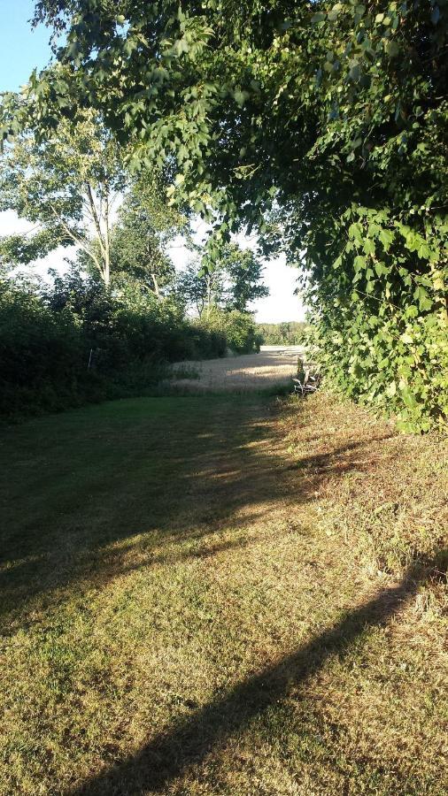 Ferienwohnung-Moeller Rabenholz Esterno foto